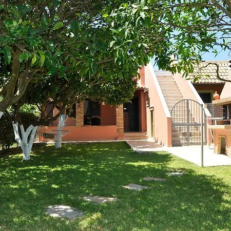 Ariti