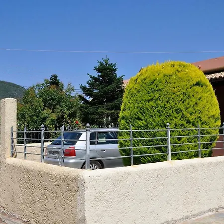 Ariti